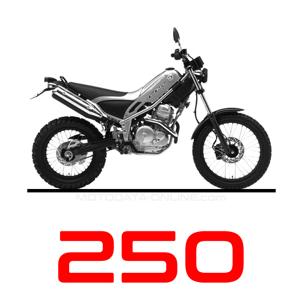 Yamaha Tricker XG 250 04-21