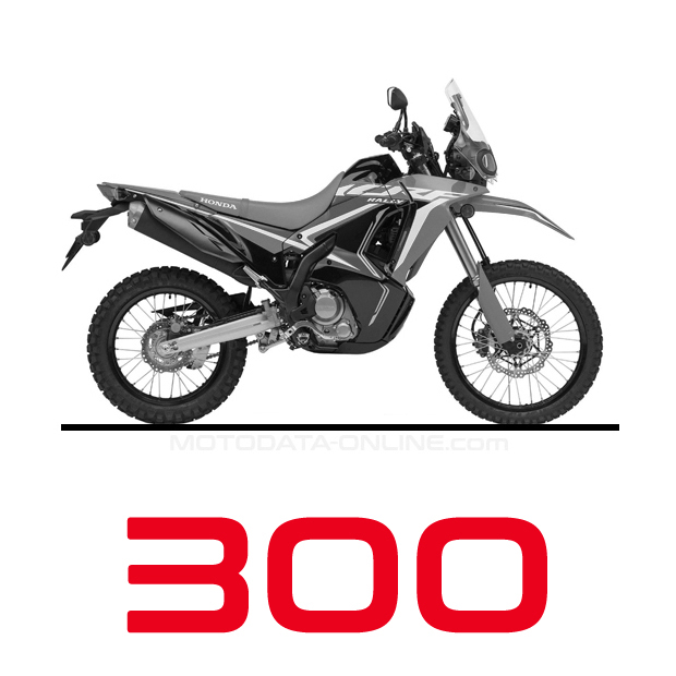 Honda CRF 300 Rally 2021-